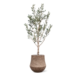 Ulivo Artificiale N 120cm