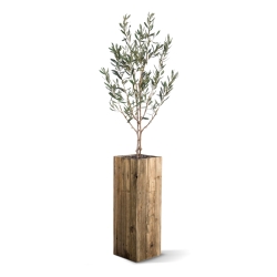 Ulivo Artificiale N 120cm