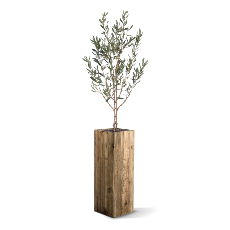 Ulivo Artificiale N 120cm