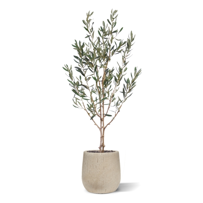 Ulivo Artificiale N 120cm