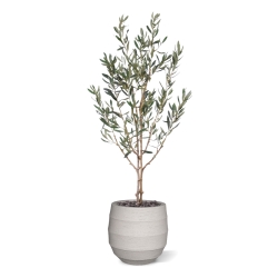 Ulivo Artificiale N 120cm