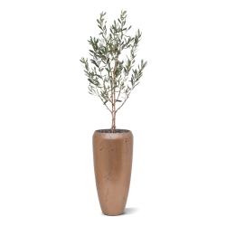 Ulivo Artificiale N 120cm