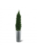 Conifera artificiale deluxe 150 cm - resistente ai raggi UV