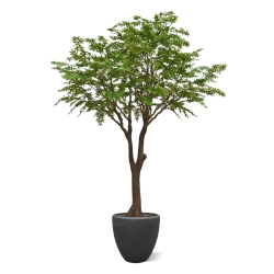 Albero artificiale Acer XL verde 300 cm