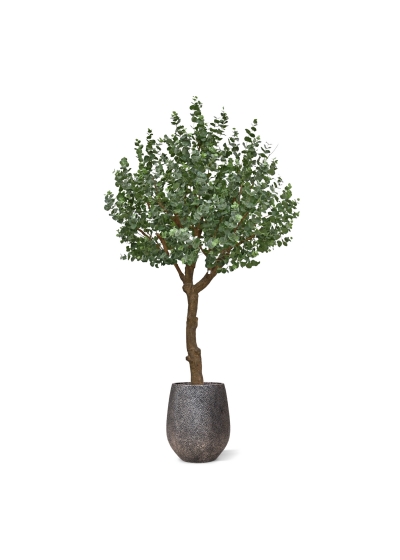 Albero artificiale di eucalipto XL 300 cm