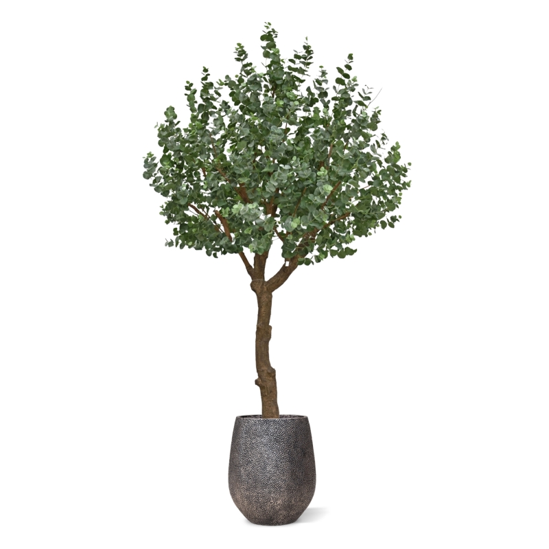 Albero artificiale di eucalipto XL 300 cm