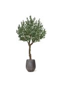 Albero artificiale di eucalipto XL 300 cm