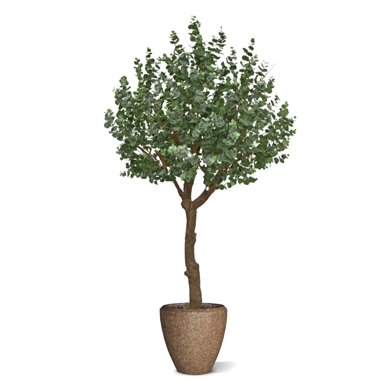 Albero artificiale di eucalipto XL 300 cm