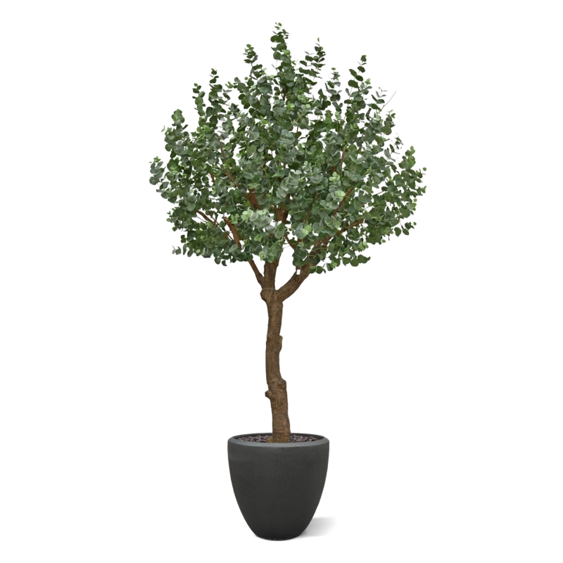 Albero artificiale di eucalipto XL 300 cm