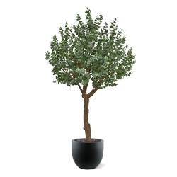 Albero artificiale di eucalipto XL 300 cm