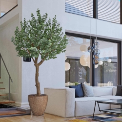 Albero artificiale di eucalipto XL 300 cm