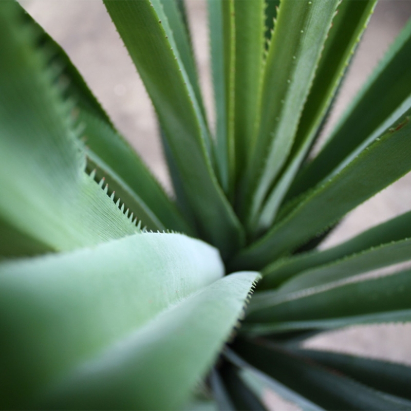 Pianta artificiale di ananas 90 cm - resistente ai raggi UV
