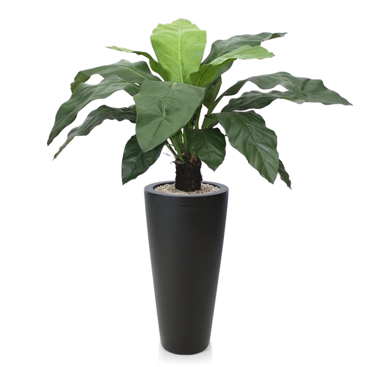 Anthurium Jungle King pianta artificiale 100 cm