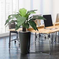 Anthurium Jungle King pianta artificiale 100 cm