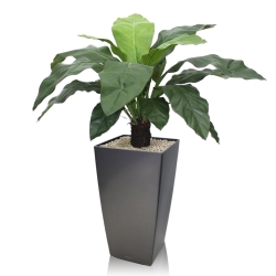 Anthurium Jungle King pianta artificiale 100 cm