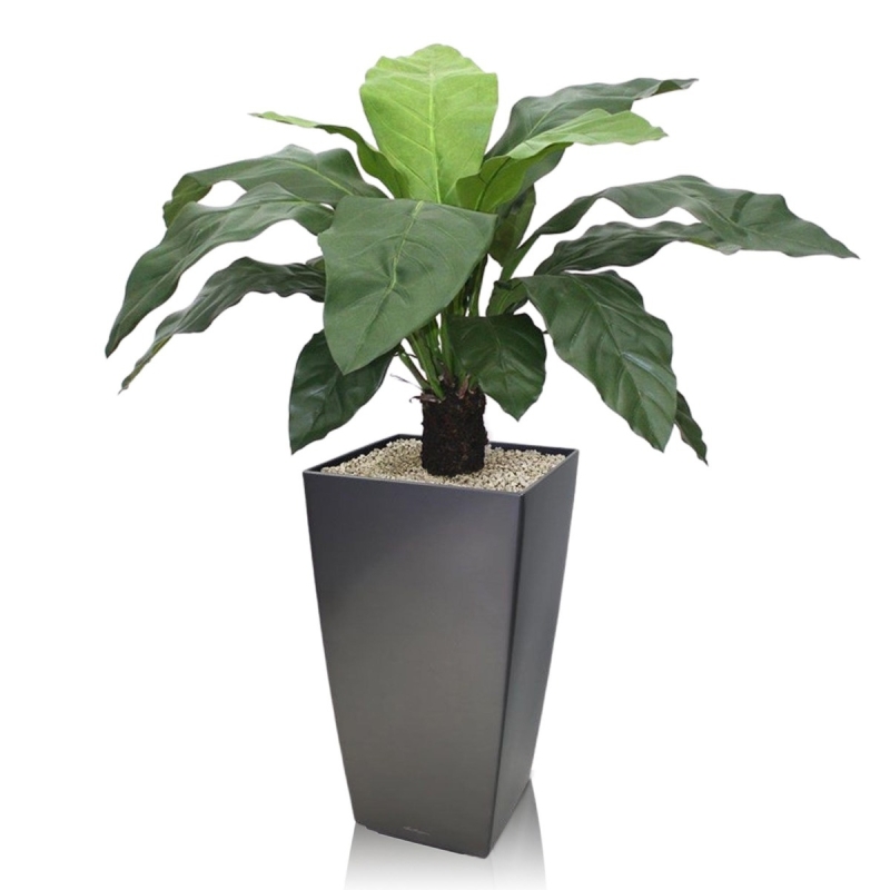 Anthurium Jungle King pianta artificiale 100 cm