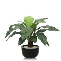 Anthurium Jungle King pianta artificiale 100 cm