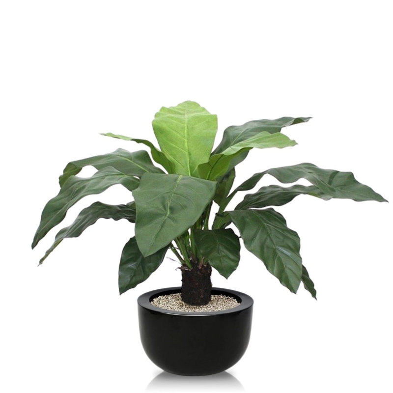 Anthurium Jungle King pianta artificiale 100 cm