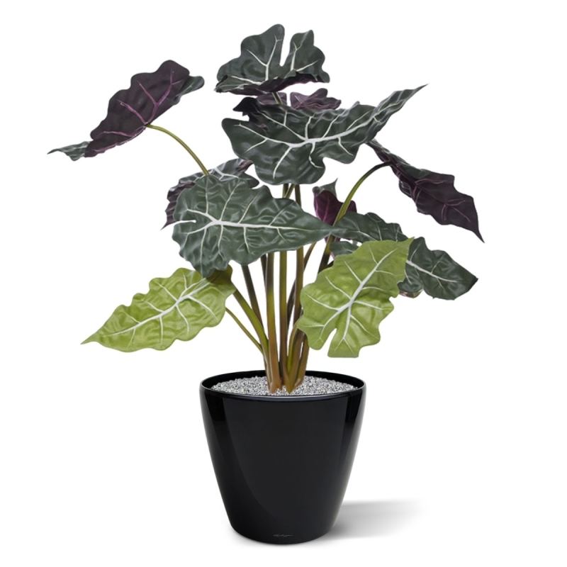 Alocasia rossa pianta artificiale 65 cm
