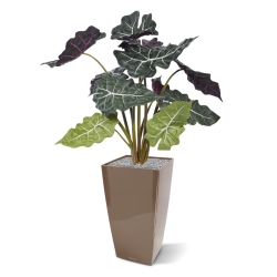 Alocasia rossa pianta artificiale 65 cm