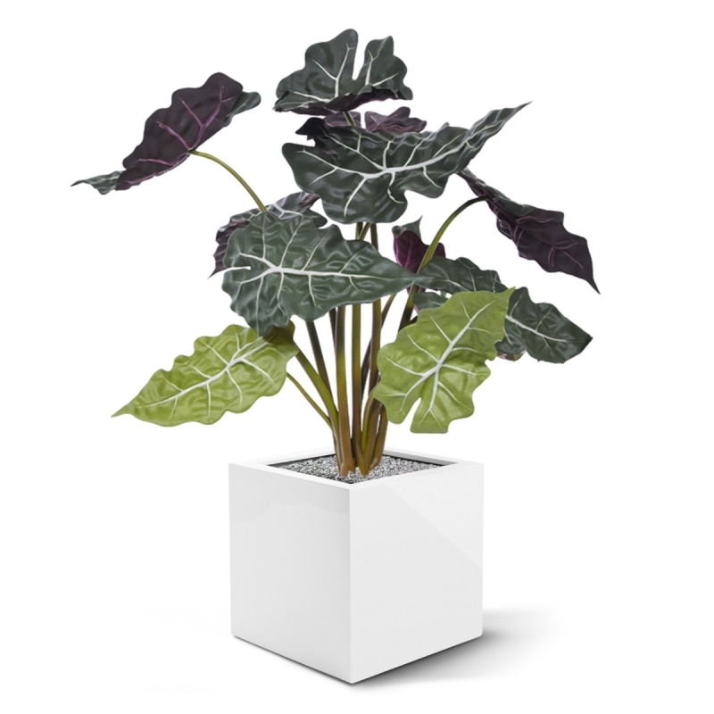 Alocasia rossa pianta artificiale 65 cm