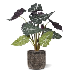 Alocasia rossa pianta artificiale 65 cm