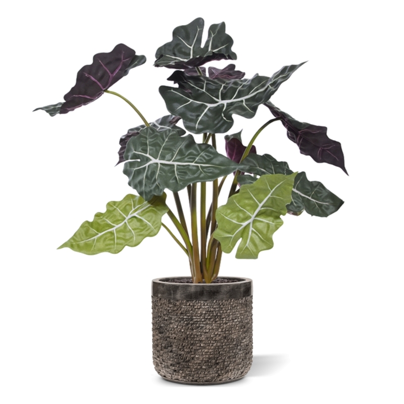 Alocasia rossa pianta artificiale 65 cm