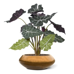 Alocasia rossa pianta artificiale 65 cm