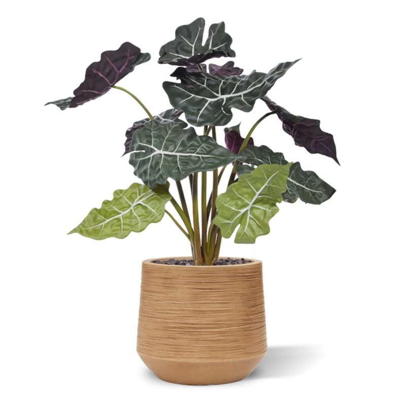 Alocasia rossa pianta artificiale 65 cm