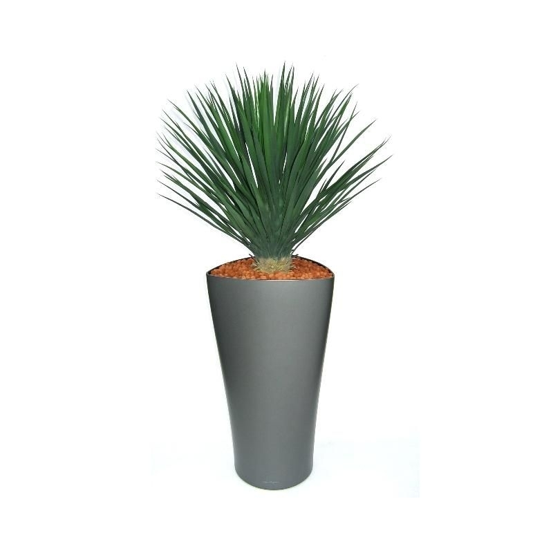 Pianta artificiale di Yucca Rostrata 80 cm