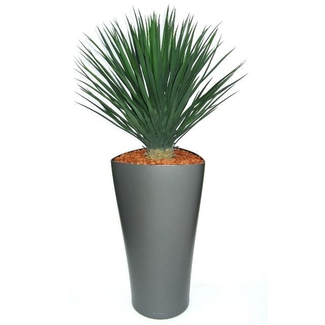 Pianta artificiale di Yucca Rostrata 80 cm