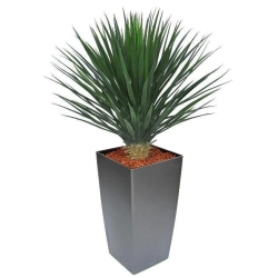 Pianta artificiale di Yucca Rostrata 80 cm