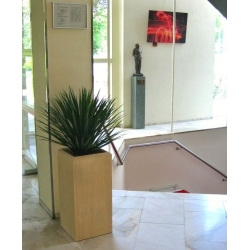 Pianta artificiale di Yucca Rostrata 80 cm