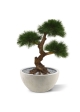 Pinus bonsai artificiale 3 bulbi 60cm - resistente ai raggi UV