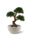 Pinus bonsai artificiale 3 bulbi 60cm - resistente ai raggi UV