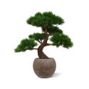 Pinus Bonsai x5 deluxe pianta artificiale su base 80 cm