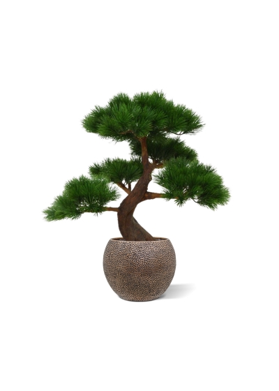 Pinus Bonsai x5 deluxe pianta artificiale su base 80 cm