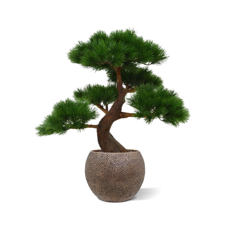 Pinus Bonsai x5 deluxe pianta artificiale su base 80 cm