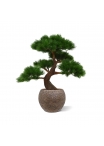 Pinus Bonsai x5 deluxe pianta artificiale su base 80 cm