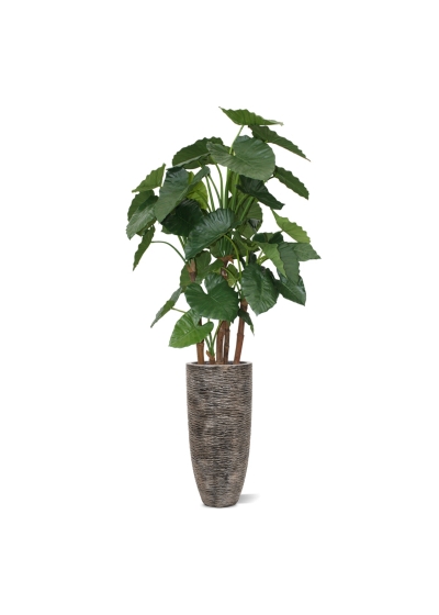Alocasia Calidora deluxe pianta artificiale 165 cm FR