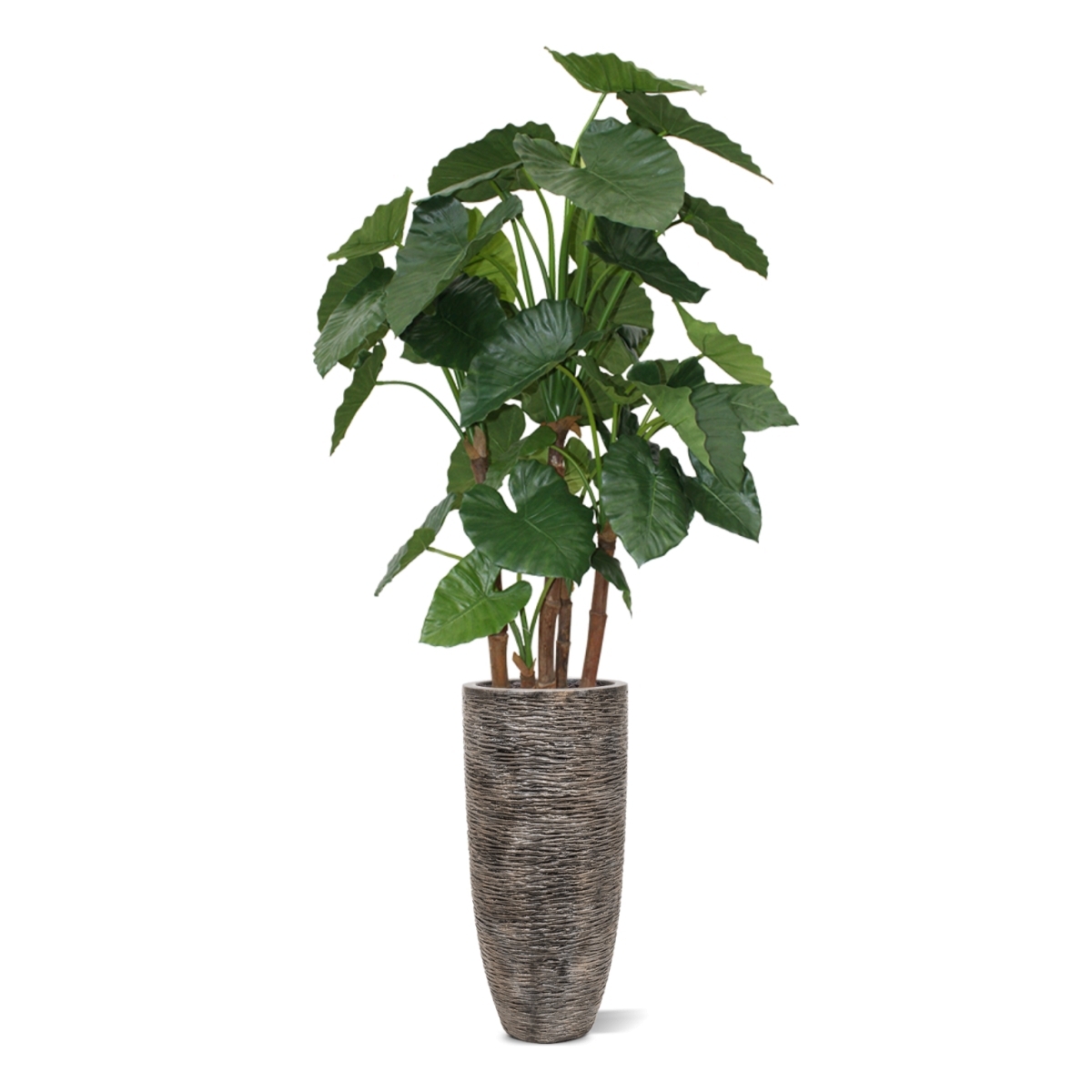 Alocasia Calidora deluxe pianta artificiale 165 cm FR