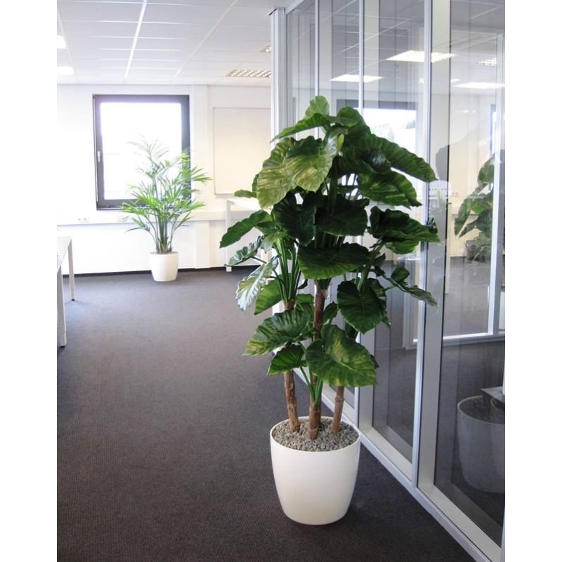 Alocasia Calidora deluxe pianta artificiale 165 cm FR