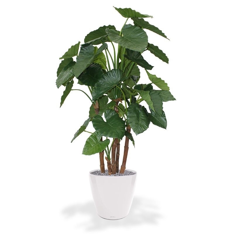 Alocasia Calidora deluxe pianta artificiale 165 cm FR