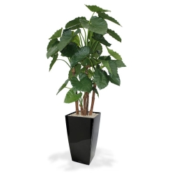 Alocasia Calidora deluxe pianta artificiale 165 cm FR