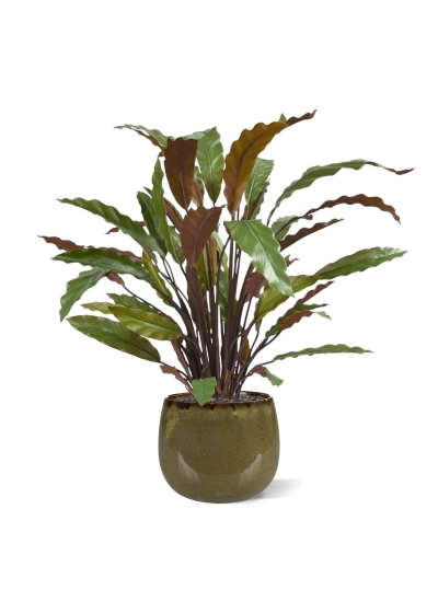 Calathea rossa pianta artificiale 60 cm