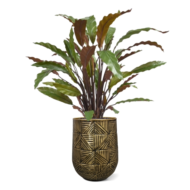Calathea rossa pianta artificiale 60 cm