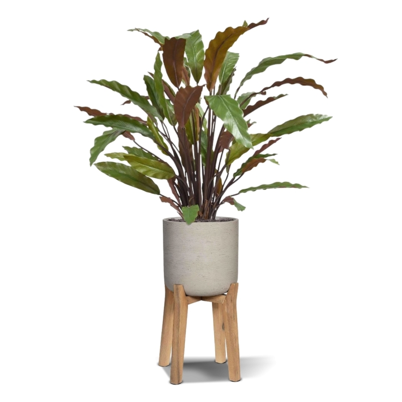 Calathea rossa pianta artificiale 60 cm