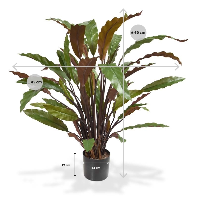 Calathea rossa pianta artificiale 60 cm