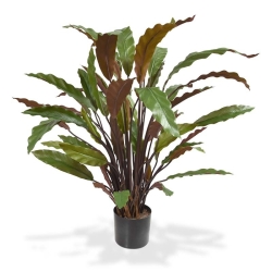 Calathea rossa pianta artificiale 60 cm