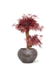 Acer artificiale bonsai 60 cm bordeaux